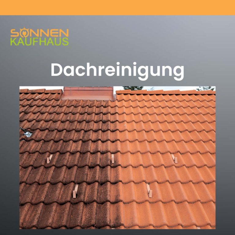 Dachreinigung Ziegelreinigung vom Sonnenkaufhaus